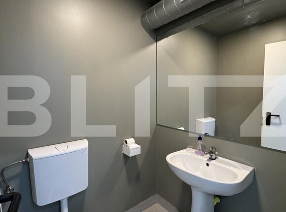 Spațiu industrial de închiriat Bariera Valcii - 173463SII | BLITZ Craiova | Poza12