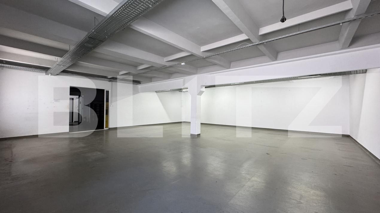 Spațiu industrial de închiriat Bariera Valcii - 173463SII | BLITZ Craiova | Poza5