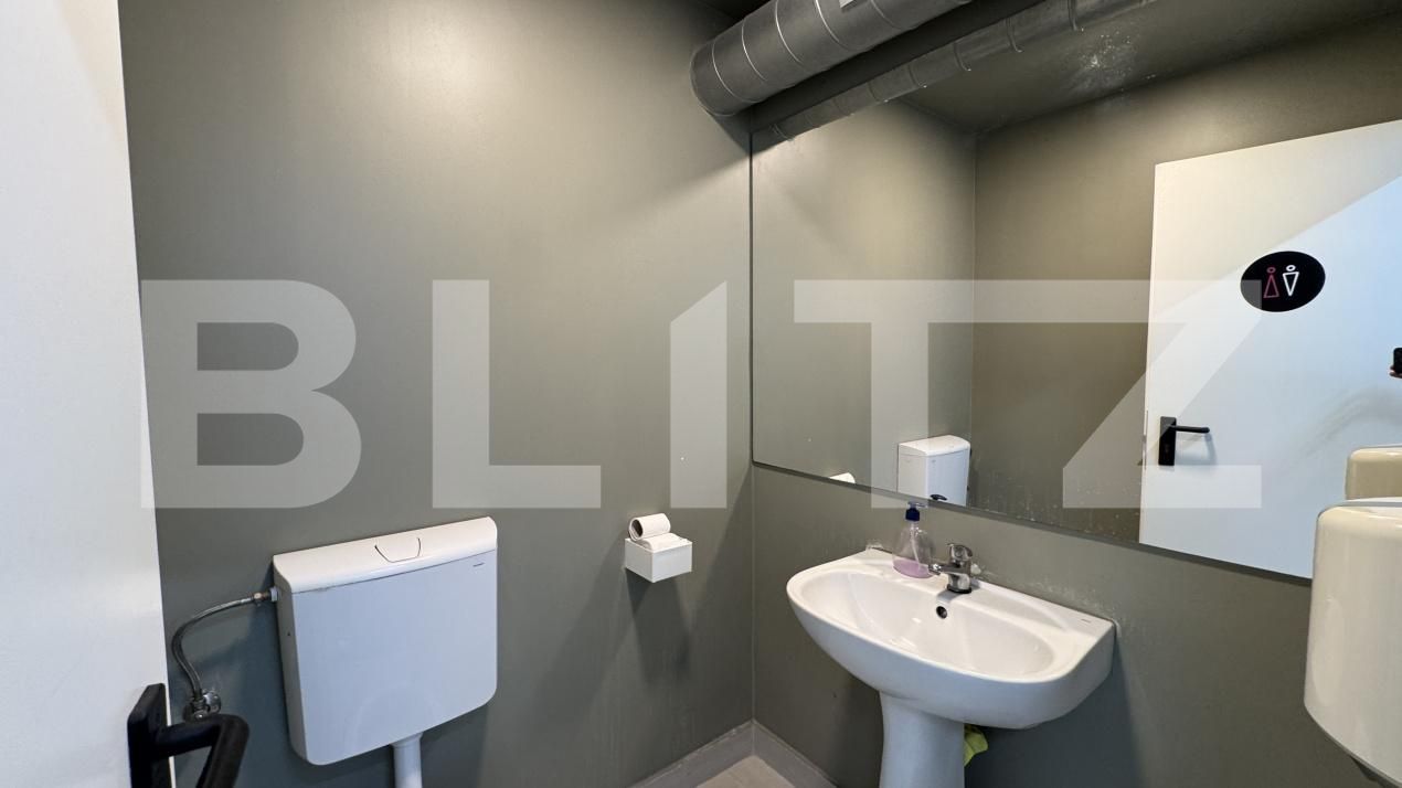 Spațiu industrial de închiriat Bariera Valcii - 173463SII | BLITZ Craiova | Poza12