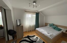 Casa D+P+1, 324 metri utili, 958 mp, Bariera, zona Girlesti