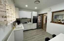 Casa D+P+1, 324 metri utili, 958 mp, Bariera, zona Girlesti