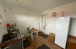 Casa D+P+1, 324 metri utili, 958 mp, Bariera, zona Girlesti