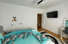 Casa D+P+1, 324 metri utili, 958 mp, Bariera, zona Girlesti