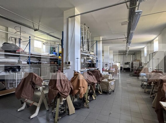 Spațiu industrial de vânzare Racarii de Jos - 173541SVI | BLITZ Craiova | Poza7
