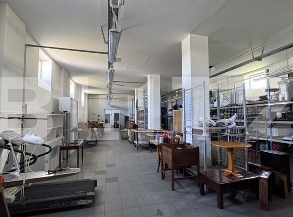 Spațiu industrial de vânzare Racarii de Jos - 173541SVI | BLITZ Craiova | Poza6