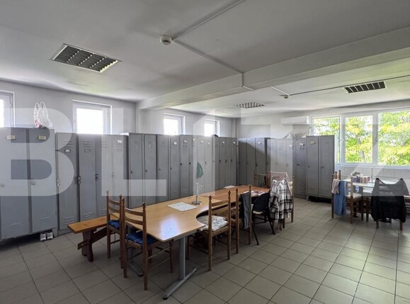 Spațiu industrial de vânzare Racarii de Jos - 173541SVI | BLITZ Craiova | Poza12