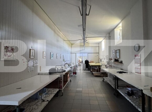 Spațiu industrial de vânzare Racarii de Jos - 173541SVI | BLITZ Craiova | Poza8