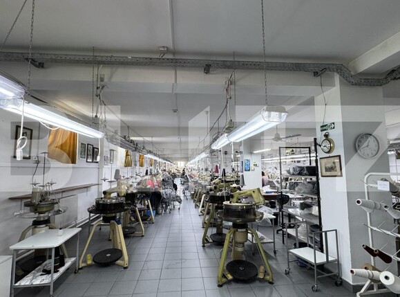 Spațiu industrial de vânzare Racarii de Jos - 173541SVI | BLITZ Craiova | Poza5
