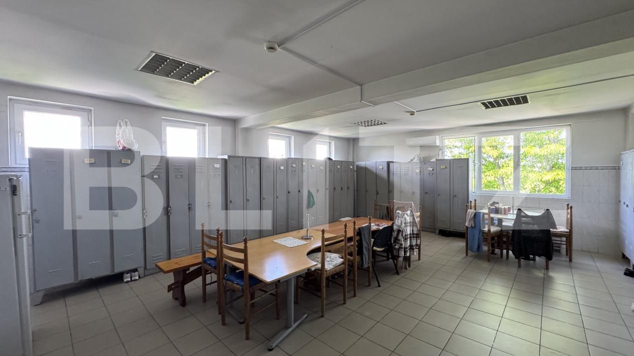 Spațiu industrial de vânzare Racarii de Jos - 173541SVI | BLITZ Craiova | Poza12