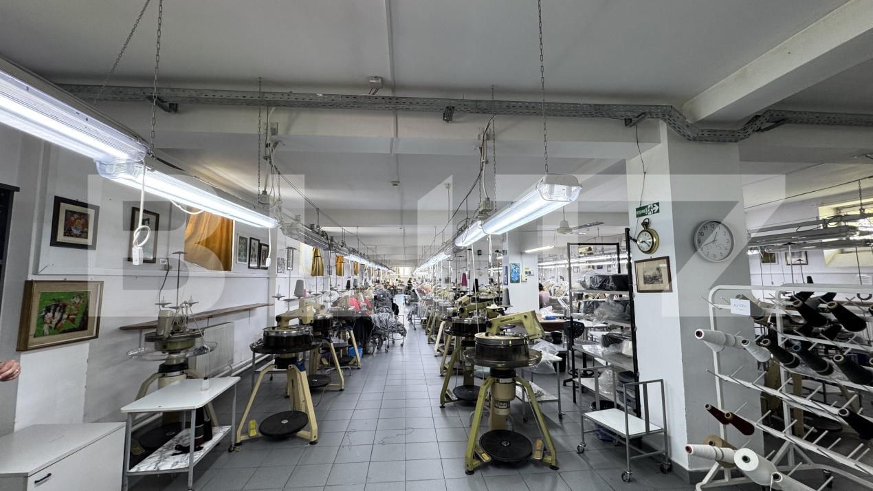 Spațiu industrial de vânzare Racarii de Jos - 173541SVI | BLITZ Craiova | Poza5