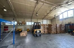 Trei hale industriale + Anexe, zona Breasta