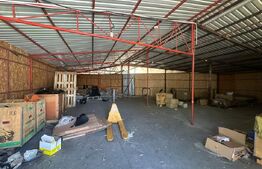 Trei hale industriale + Anexe, zona Breasta