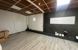 Trei hale industriale + Anexe, zona Breasta