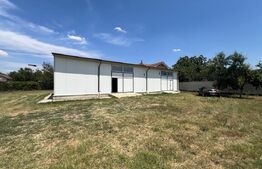 Hala ideala depozit – 170 mp, teren 500 mp, zona Damila