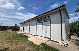 Hala ideala depozit – 170 mp, teren 500 mp, zona Damila