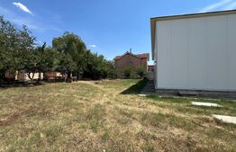 Hala ideala depozit – 170 mp, teren 500 mp, zona Damila