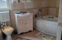 Casă P+1 cu toate utilitatile, 170 mp utili, 500 mp teren, in Bariera Valcii