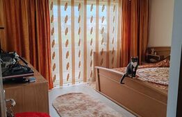 Casă P+1 cu toate utilitatile, 170 mp utili, 500 mp teren, in Bariera Valcii