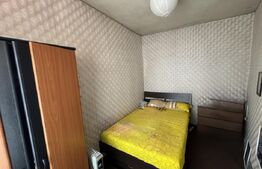 Apartament 3 camere, parter în casă istorică – ultracentral, Carol I