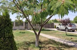 Casa deosebita  LUX  P+1 , 1024 MP TEREN 1024 mp ,184 utili, Malu Mare. RATE !!!