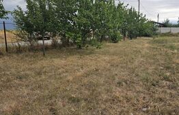 Teren intravilan 762 mp in Carcea