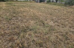 Teren intravilan 762 mp in Carcea