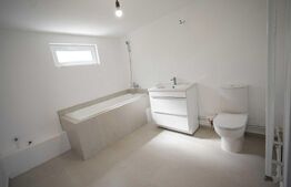 Casa ideala cu toate utilitatile in Brestei