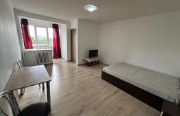 Garsoniera 32mp , Brazda lui Novac, Zona pietei din brazda 