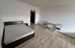 Garsoniera 32mp , Brazda lui Novac, Zona pietei din brazda 