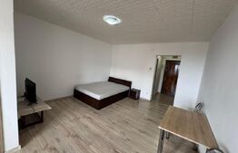 Garsoniera 32mp , Brazda lui Novac, Zona pietei din brazda 