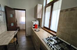 Casa cocheta, renovata, 125 mp utili si 245 mp teren, stradal, zona Piata Mare!