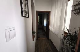 Casa cocheta, renovata, 125 mp utili si 245 mp teren, stradal, zona Piata Mare!