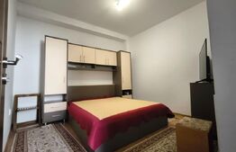 Casa cocheta, renovata, 125 mp utili si 245 mp teren, stradal, zona Piata Mare!