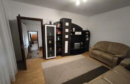 Casa cocheta, renovata, 125 mp utili si 245 mp teren, stradal, zona Piata Mare!