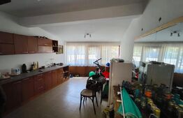 Casa cocheta, renovata, 125 mp utili si 245 mp teren, stradal, zona Piata Mare!