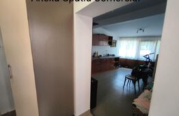 Casa cocheta, renovata, 125 mp utili si 245 mp teren, stradal, zona Piata Mare!