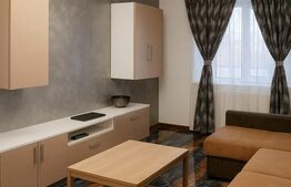 Garsoniera 37 MP, Bariera Valcii, parter, renovata recent!