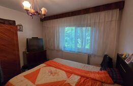 Apartament 4 camere, decomandat, 90 mp, parter, George Enescu