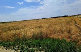 Teren intravilan Carcea , 415 mp , cu front stradal 14,78 m 