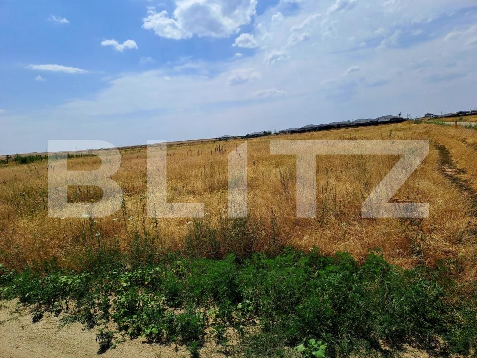 Teren de vânzare Carcea  - 173827TV | BLITZ Craiova | Poza1