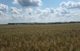 Teren Intravilan 2.829 mp, Zonă în Dezvoltare, Reprezentanța Peugeot Simode