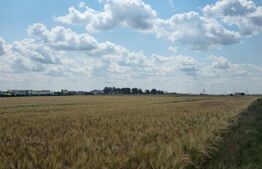 Teren Intravilan 2.829 mp, Zonă în Dezvoltare, Reprezentanța Peugeot Simode