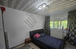 Apartament de vanzare, cu 2 camere, semidecomandat, zona Simplon