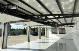 Casa P+E1+M, 255 mp utili, piscina, toate utilitatile, Braniste