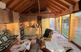 Casa P+E1+M, 255 mp utili, piscina, toate utilitatile, Braniste