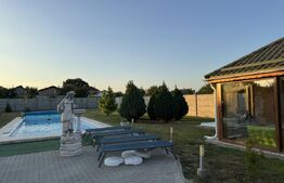 Casa P+E1+M, 255 mp utili, piscina, toate utilitatile, Braniste