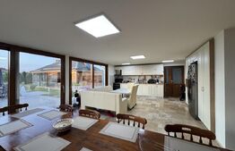 Casa P+E1+M, 255 mp utili, piscina, toate utilitatile, Braniste