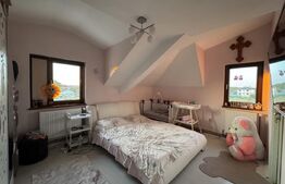 Casa P+E1+M, 255 mp utili, piscina, toate utilitatile, Braniste