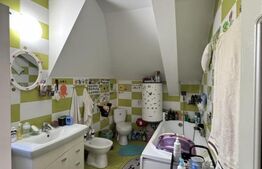 Casa P+E1+M, 255 mp utili, piscina, toate utilitatile, Braniste