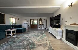 Casa P+E1+M, 255 mp utili, piscina, toate utilitatile, Braniste